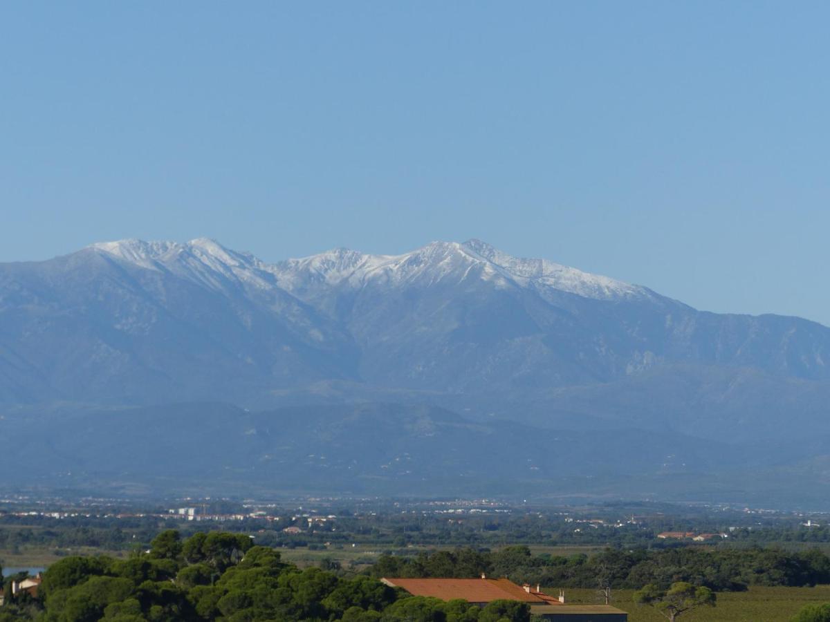 Apartamento Albatros Canet-en-Roussillon Exterior foto